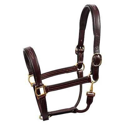 Perris Fancy Stitched Leather Halter Cob Havana