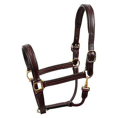 Perris Fancy Stitched Leather Halter Cob Havana