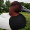 Bull Canvasback Full Body Decoy Flocking Kit view 1