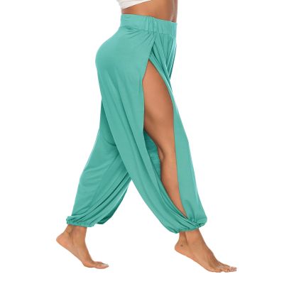 AvaCostume High Slit Harem Pants Women Hippie Harem Pants Trousers Aqua L