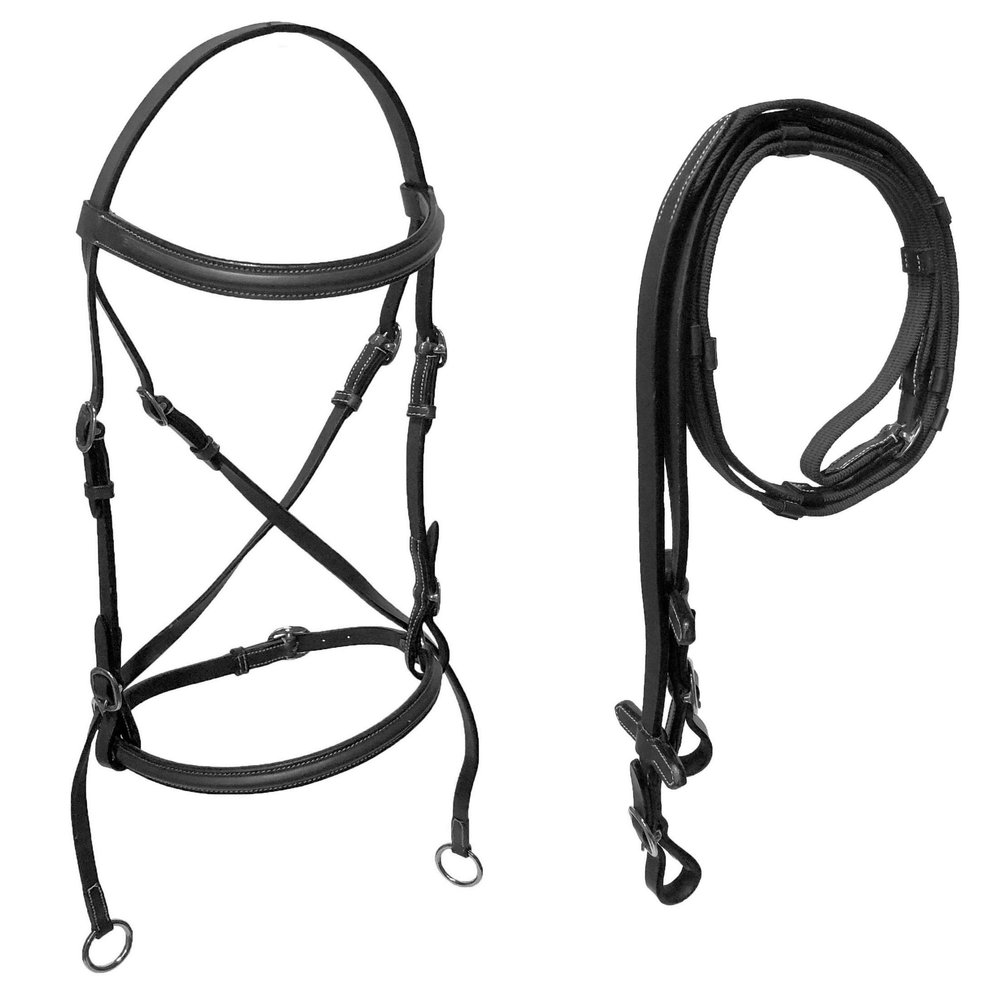 Equitem Leather English Bitless Bridle with Web Reins (Black, Pony)