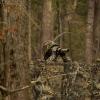 LOOGU Camo Netting, Camouflage Net Blinds Great for Sunshade Camping Shooting Hunting view 3