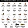 Ventures Fly Co. | 122 Premium Hand Tied Fly Fishing Flies Assortment | Two Fly Boxes Included | Dry, Wet, Nymphs, Streamers, Wooly Buggers, Terrestrials | Trout, Bass Lure Set, Kit, Gift view 2