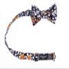 Spring Notion Boys' Cotton Floral Bow Tie, 41-Black/Mustard Large view 2