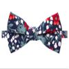 Spring Notion Men's Cotton Floral Print Bow Tie, 42-Blue/Red view 1