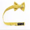 Spring Notion Boys' Cotton Floral Bow Tie, 40-Mustard Medium view 2