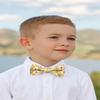 Spring Notion Boys' Cotton Floral Bow Tie, 32-Mustard Medium view 3