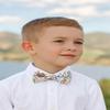 Spring Notion Boys' Cotton Floral Bow Tie, 27-Blue/Pink Small view 3