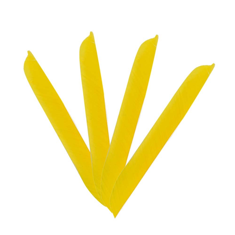 AMEYXGS Archery Full Length Feathers Right Wing Spiral Wrap Archery Arrow Turkey Feather for Flu Flu Arrows (Yellow)