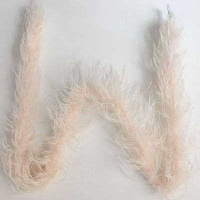 ADAMAI 72inch Natural Ostrich Feather Boa Halloween Cosplay Costume Accessory Holiday Decors (Champagne)