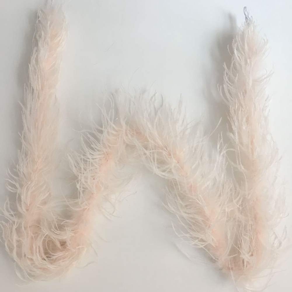 ADAMAI 72inch Natural Ostrich Feather Boa Halloween Cosplay Costume Accessory Holiday Decors (Champagne)