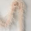 ADAMAI 72inch Natural Ostrich Feather Boa Halloween Cosplay Costume Accessory Holiday Decors (Champagne) view 2