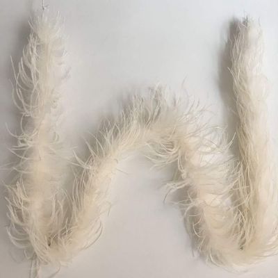 ADAMAI 72inch Natural Ostrich Feather Boa Halloween Cosplay Costume Accessory Holiday Decors (Ivory)