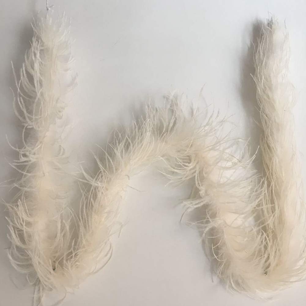 ADAMAI 72inch Natural Ostrich Feather Boa Halloween Cosplay Costume Accessory Holiday Decors (Ivory)
