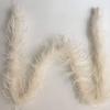 ADAMAI 72inch Natural Ostrich Feather Boa Halloween Cosplay Costume Accessory Holiday Decors (Ivory)