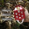 NewDoar 30 KN CE Certified Large Rescue Pulley Double Sheave with Swing Plate for Outdoor Mountaineering Rock Climbing Rescue(Red 2pcs) view 3