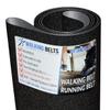WALKINGBELTS Walking Belts LLC - PFTL731051 ProForm 750 Treadmill Running Belt Sand Blast + Free 1oz Lube view 1