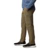 Columbia Men's Silver Ridge Cargo Pant, Stone Green, 44W x 32L view 4