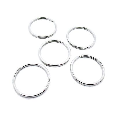 210 Pieces Antique Silver Plated Jewelry Charms GY03602 Key Ring Keychain Keyring