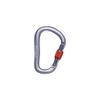BLACK DIAMOND RockLock Screwgate Carabiner | Hot-Forged, Lightweight | Keylock Nose | Secure Locking Biner for Belaying & Rappelling | Gray view 1