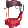 BLACK DIAMOND Kids Momentum Rock Climbing Harness | Adjustable Waist & Leg Loops | Lightweight, Comfortable Support for Indoor & Outdoor Climbing | Wild Rose view 2