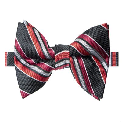 Spring Notion Men's Patterned Bow Tie Black/Red