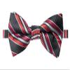 Spring Notion Men's Patterned Bow Tie Black/Red view 1