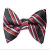 Spring Notion Men's Patterned Bow Tie Black/Red view 2