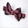 Spring Notion Men's Patterned Bow Tie Black/Red view 3