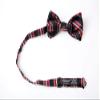 Spring Notion Men's Patterned Bow Tie Black/Red view 4