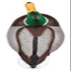 Flambeau Outdoors 1812DPK Masters Series 14 Full-Sized Mallard Duck Decoys, Classic Floaters - 12-Pack view 4