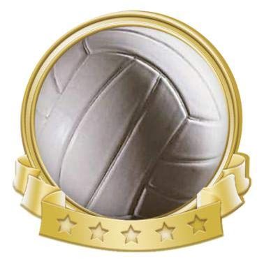 Crown Awards Volleyball Banner Pin, Gold Volleyball Pins, 100 Pack Prime