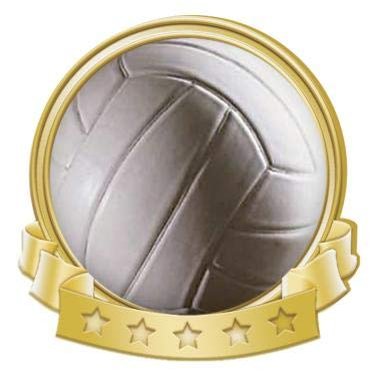 Crown Awards Volleyball Banner Pin, Gold Volleyball Pins, 100 Pack Prime