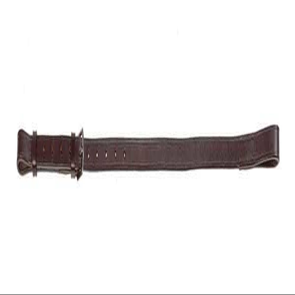 Avignon Standing Martingale Attachment (Pony/Cob, Havana)