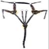 Avignon Five Point Breastplate (X-Full, Havana) view 1