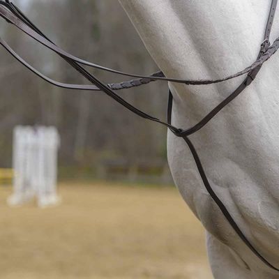 Avignon Standing Martingale (Full, Havana)