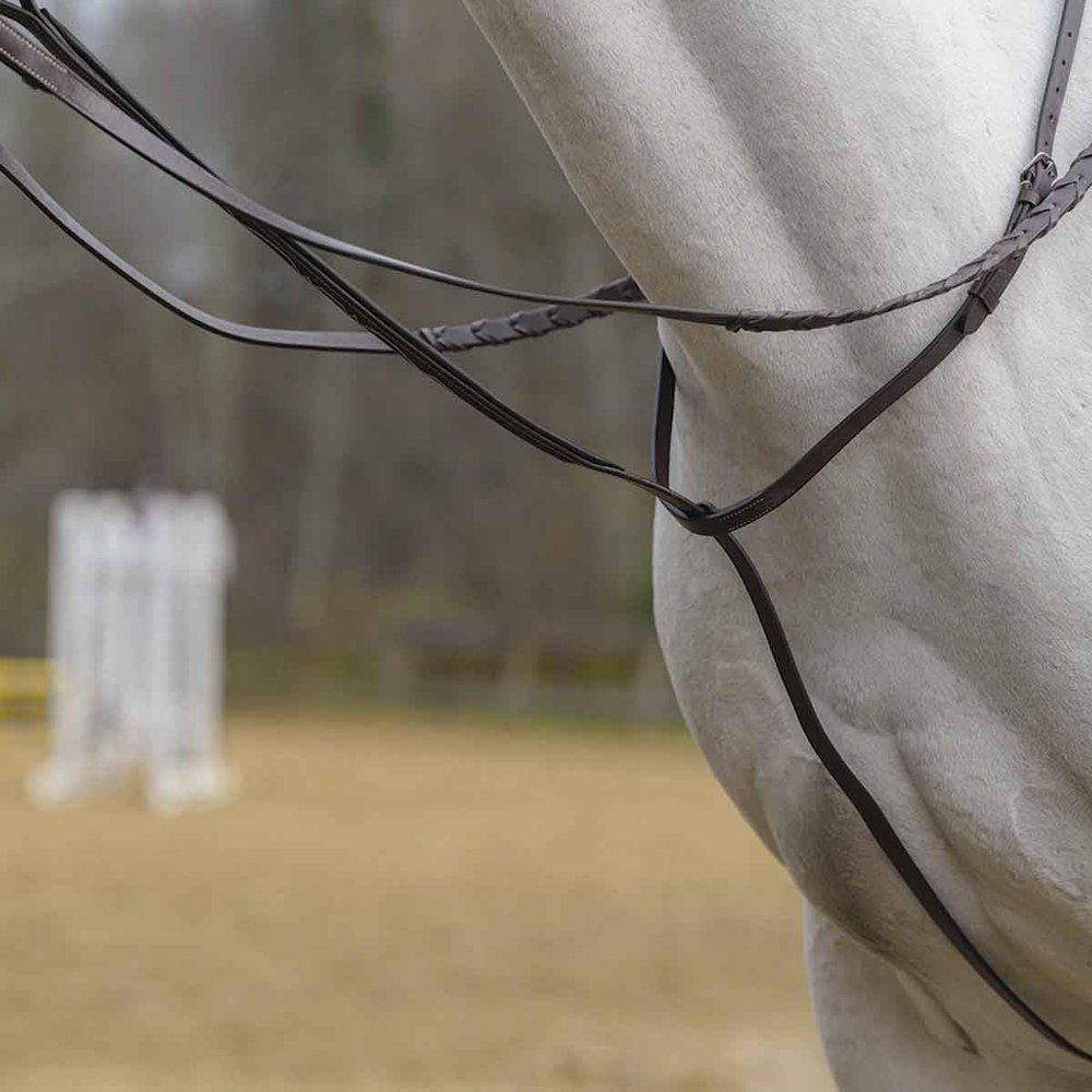 Avignon Standing Martingale (Full, Havana)