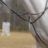Avignon Standing Martingale (Full, Havana) view 1