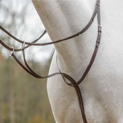 Avignon Running Martingale (X-Full, Havana)