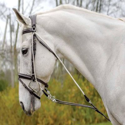 Shires Avignon DE GOGUE TRAINNG AID (Cob, Black)