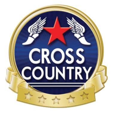 Crown Awards Cross Country Red Stars Banner Pin, Gold Cross Country Pins, 100 Pack Prime