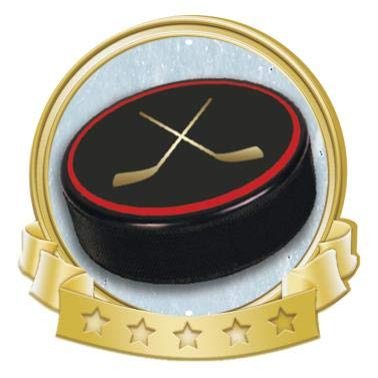 Crown Awards Hockey Puck Banner Pin, Gold Hockey Pins, 100 Pack Prime