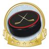 Crown Awards Hockey Puck Banner Pin, Gold Hockey Pins, 100 Pack Prime view 1
