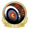 Crown Awards Archery Banner Pin, Gold Archery Pins, 50 Pack Prime view 1