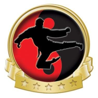 Crown Awards Karate Banner Pin, Gold Karate Pins, 30 Pack Prime