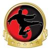 Crown Awards Karate Banner Pin, Gold Karate Pins, 30 Pack Prime view 1