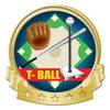 Crown Awards T-Ball Banner Pin, Gold T-Ball Pins, 100 Pack Prime view 1