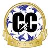Crown Awards Cross Country Blue Stars Banner Pin, Gold Cross Country Pins, 50 Pack view 1
