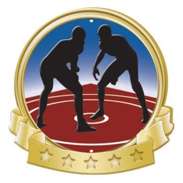 Crown Awards Wrestling Banner Pin, Gold Wrestling Pins, 100 Pack Prime