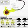 XFISHMAN Crappie-Jigs-Heads-Kit 1/8 1/16 1/32oz 50 Pack Ice Fishing Jigs Lead Head Jig Hook Lure (1/8 oz, Big Eye Jigheads) view 2